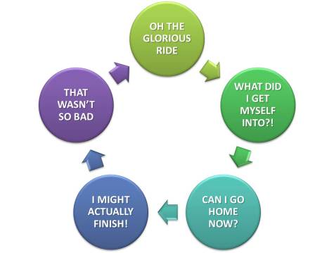the cycle